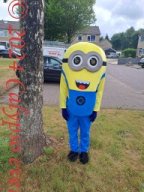 Minions