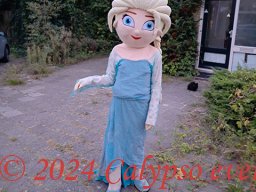 Frozen
