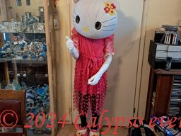 kitty