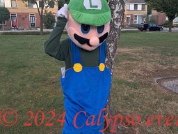 Mario en Luigi