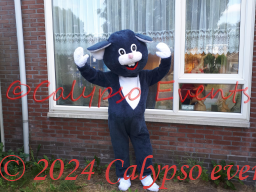 Muis