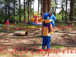 Sonic